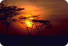 african-sunset_w725_h483